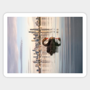 Melbourne Swan at St Kilda Pier (Jigsaw) Sticker